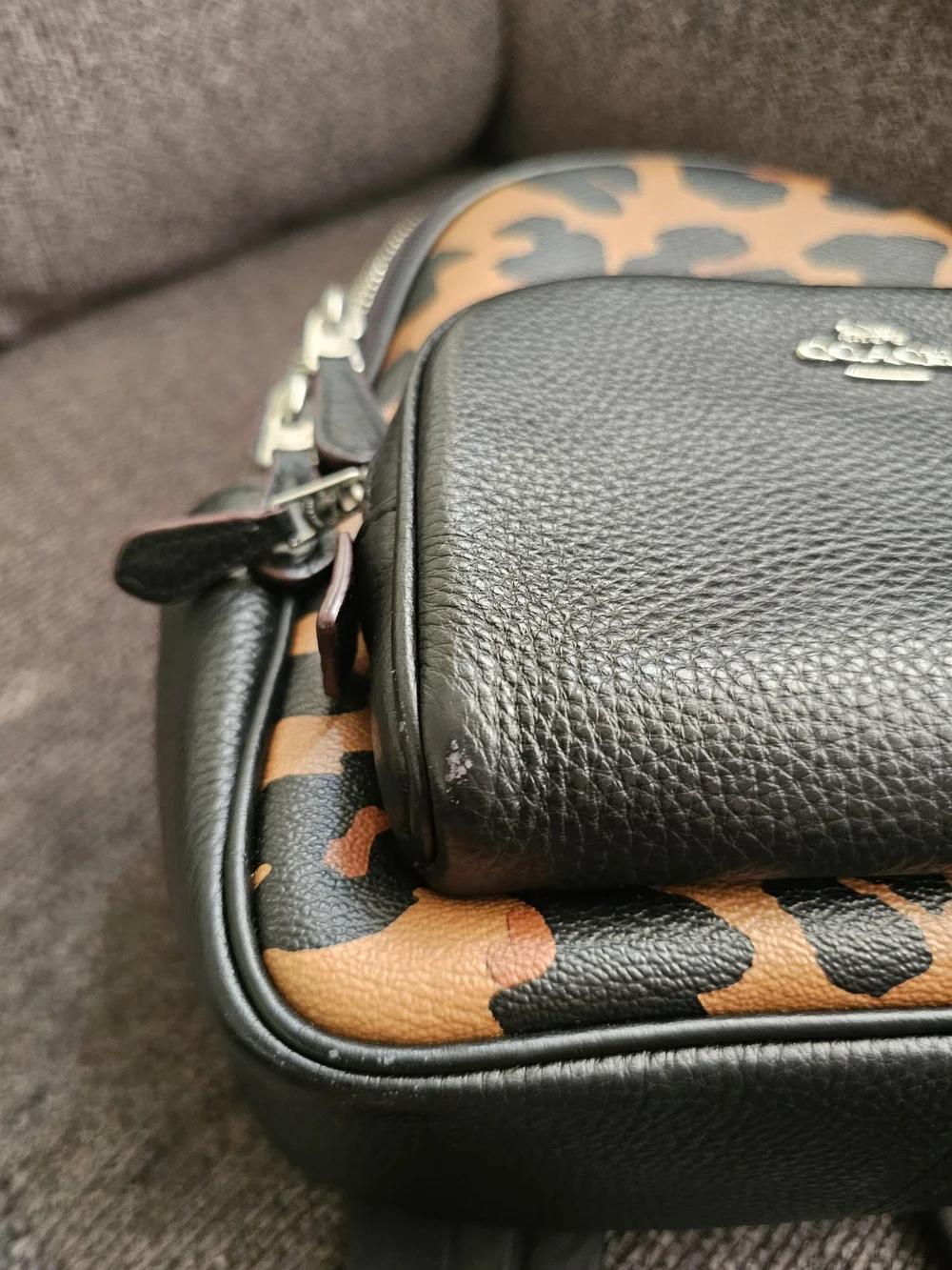 Coach black straps panel